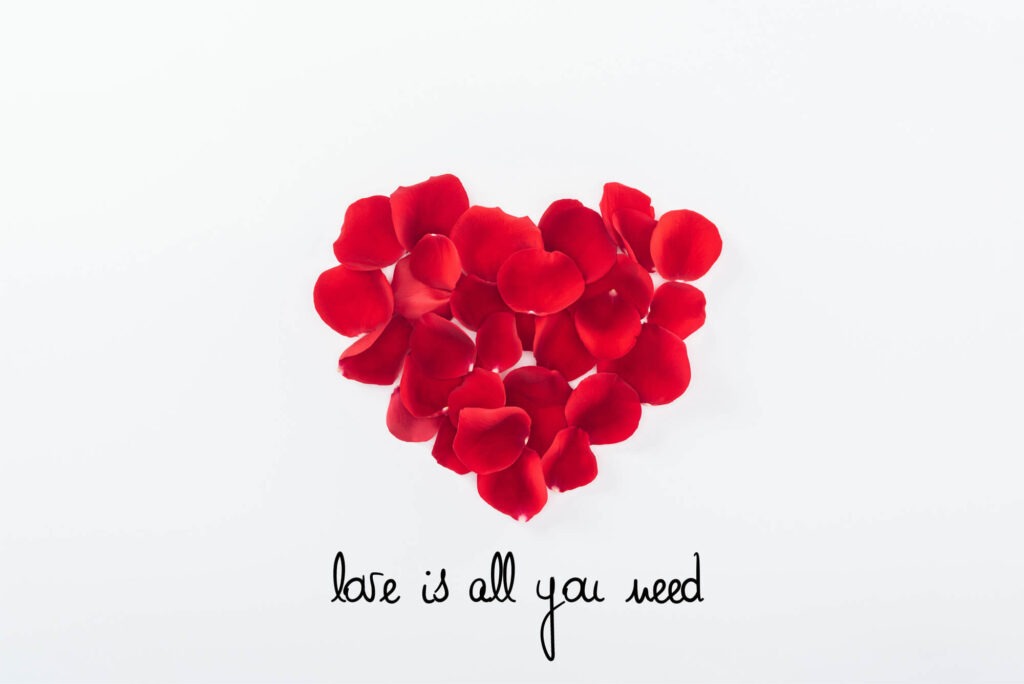 Love heart with love is all you need written below it